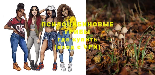 молекула духа Лиски