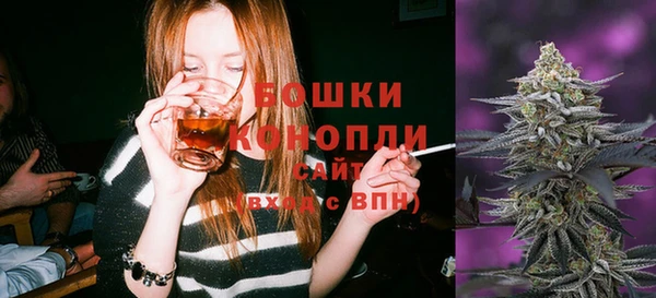 PSILOCYBIN Липки
