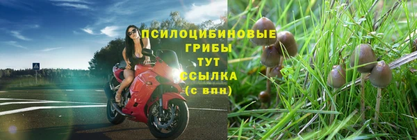 скорость Магас