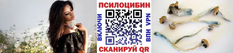 купить ссылка на мегу ССЫЛКА Галлюциногенные грибы MAGIC MUSHROOMS Челябинск