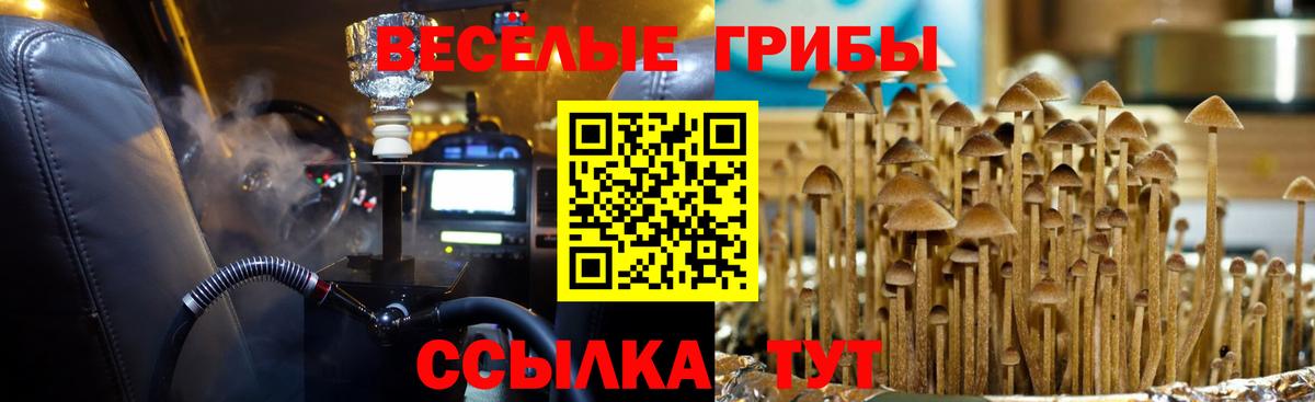 Челябинск  Псилоцибиновые грибы мухоморы  Вход с VPN 